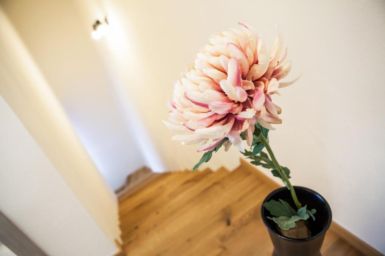Zazi Apartmany Myto Pod Dumbierom Ngoại thất bức ảnh